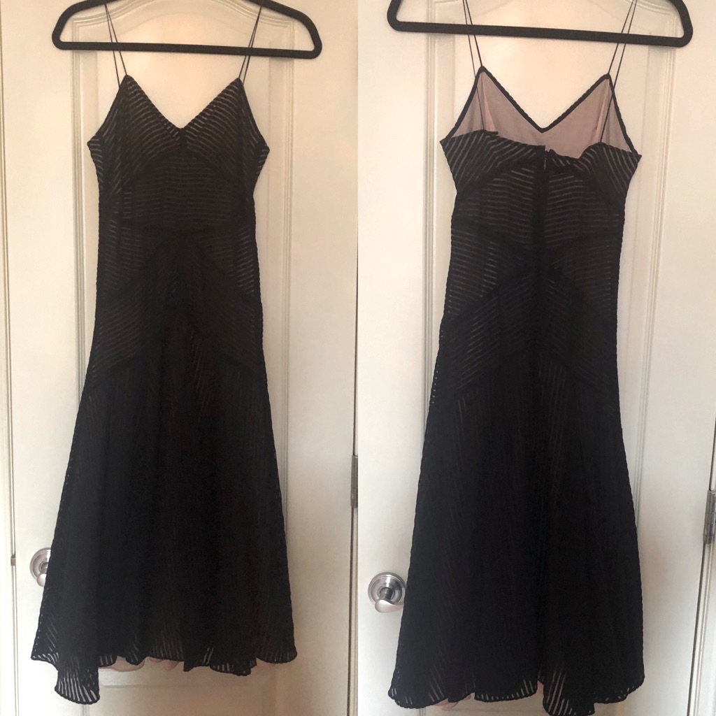 10 Crosby Derek Lam Overlay Georgette Dress Size 0